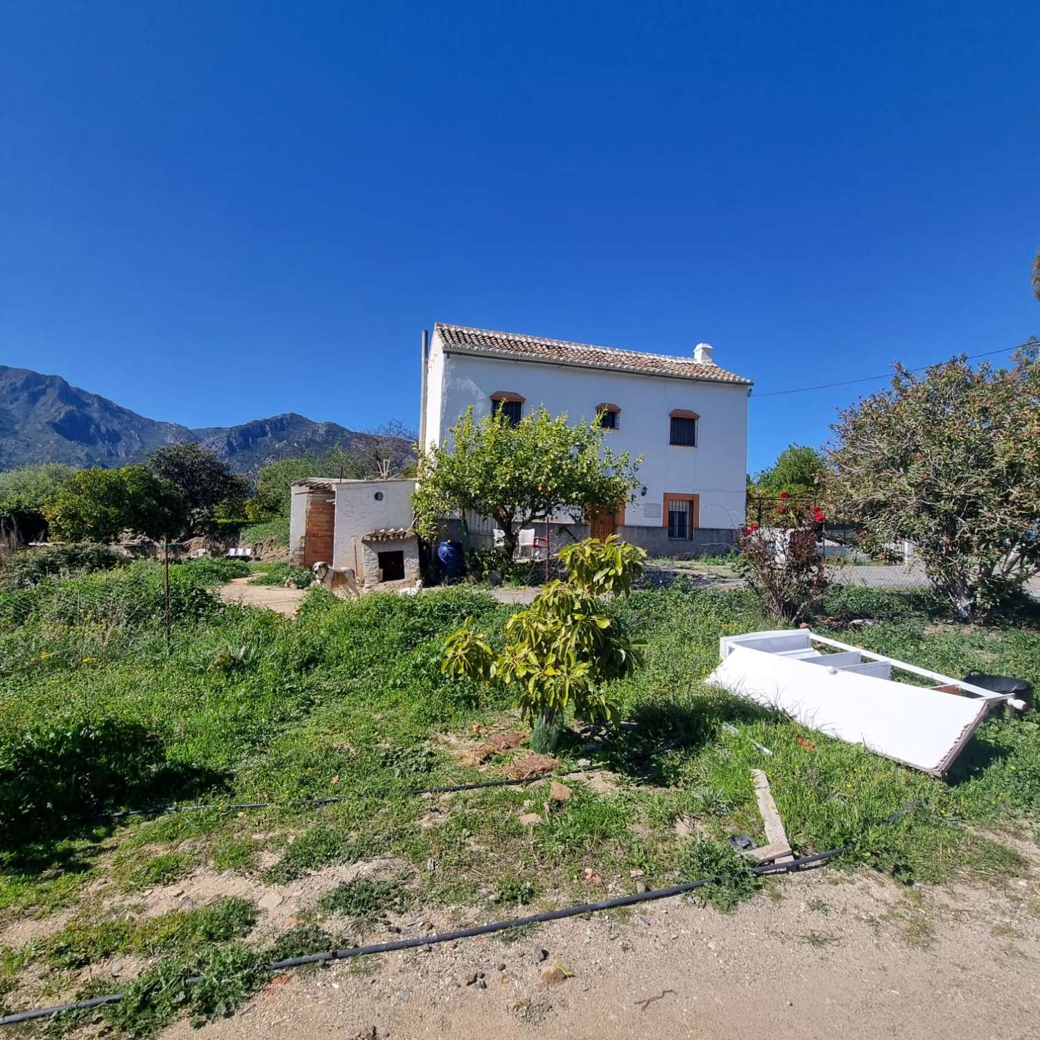 Percelen te koop in Carratraca