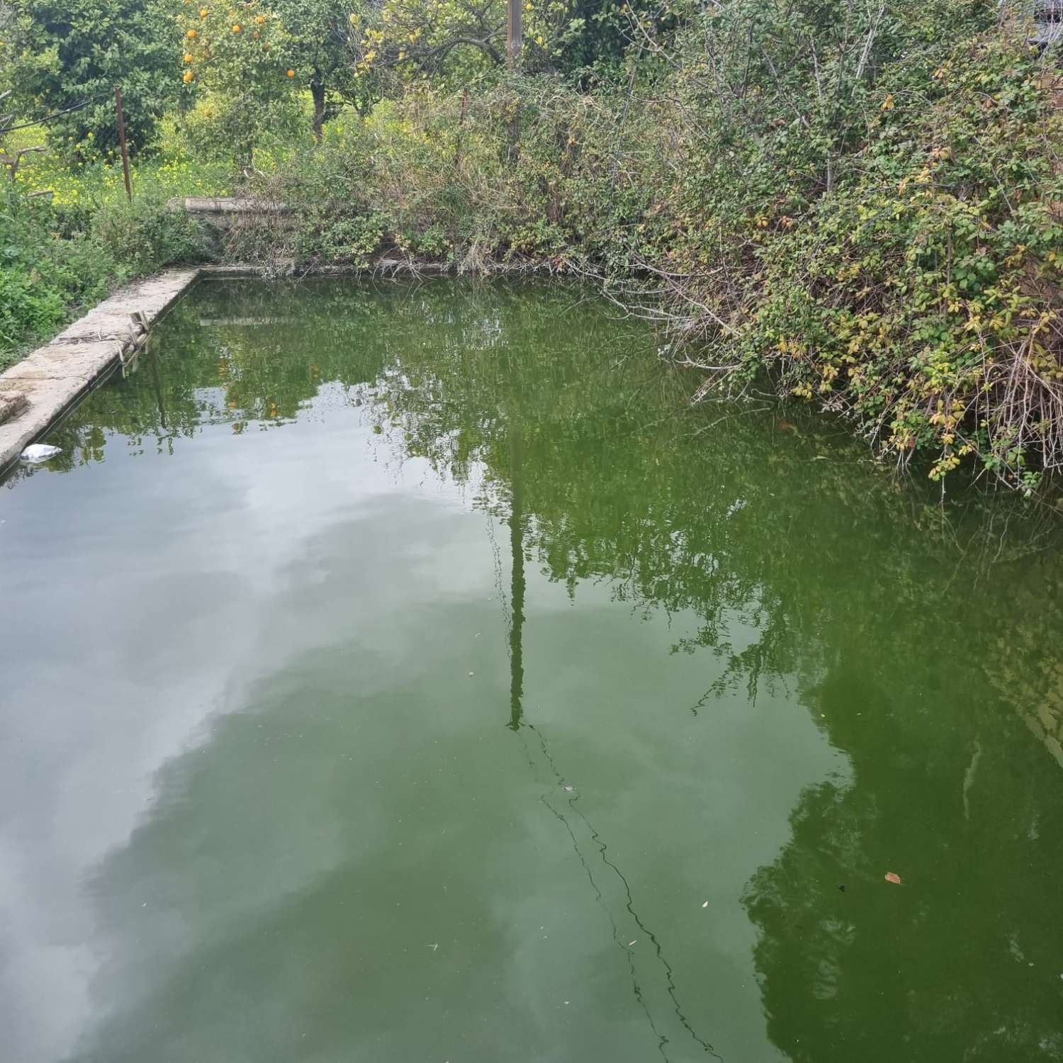 Percelen te koop in Carratraca