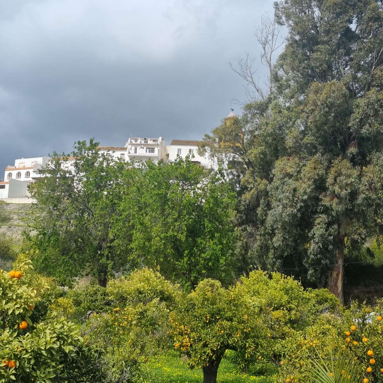 Percelen te koop in Carratraca