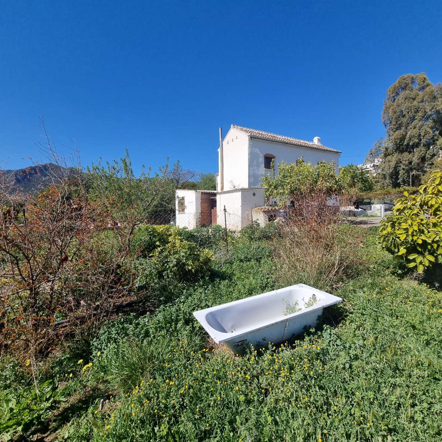 Percelen te koop in Carratraca