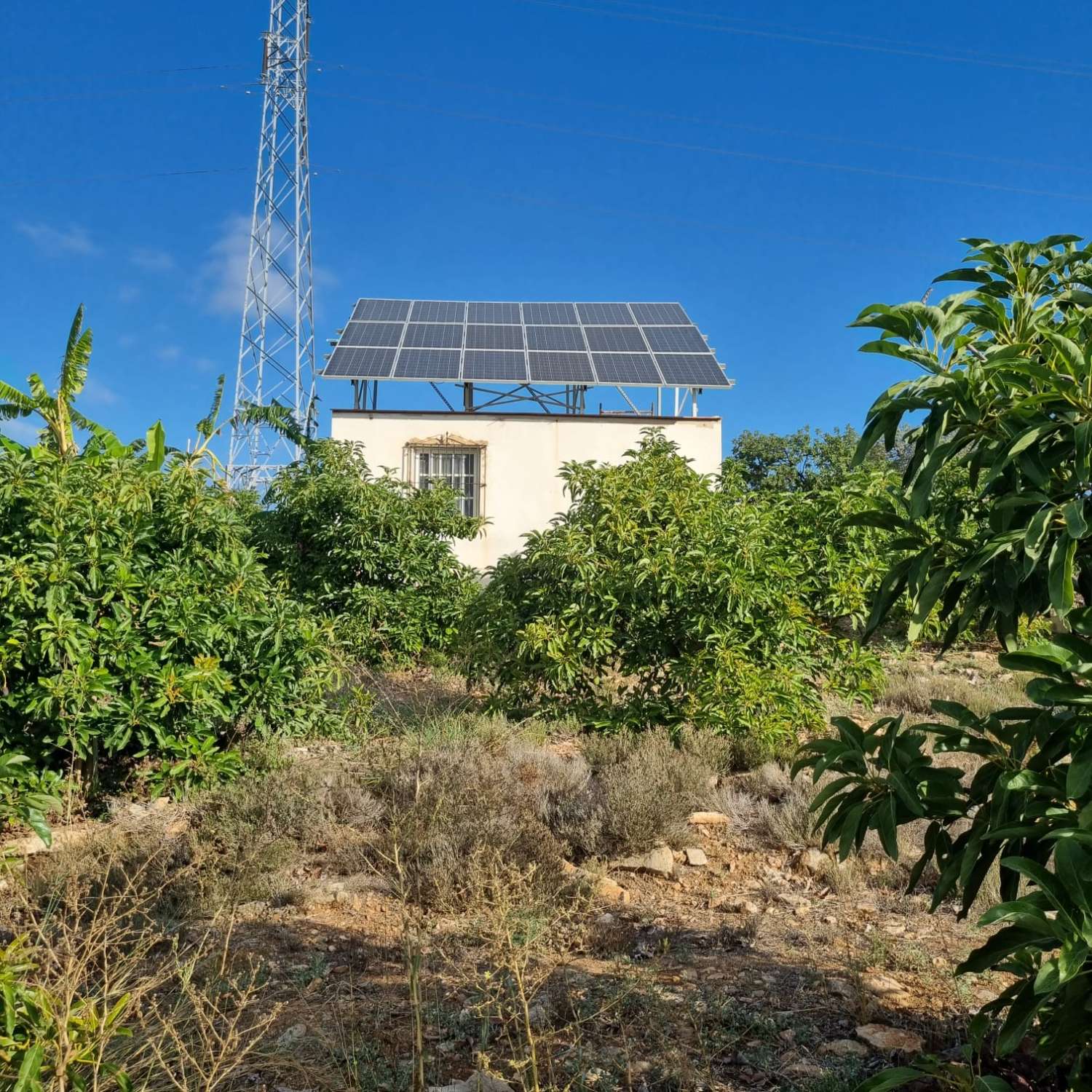 Magnifica finca sembrada de aguacates sostenible