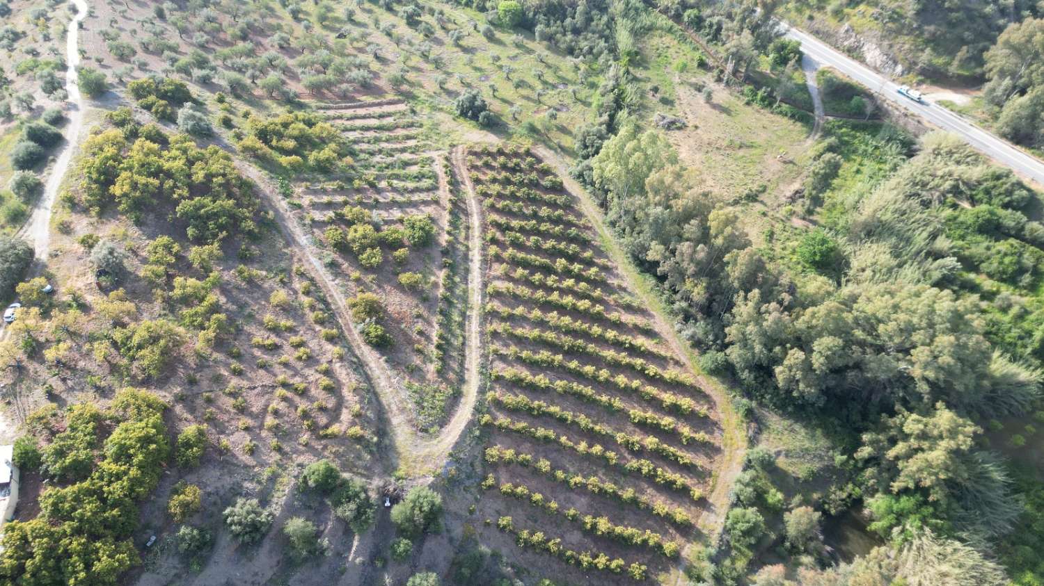 Country Property v prodeji in Coín