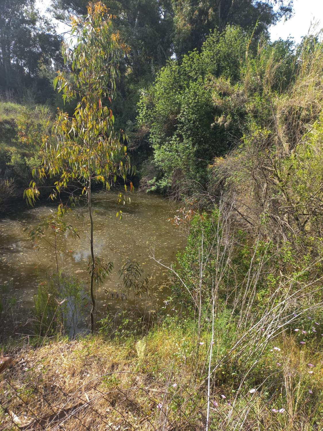 Country Property v prodeji in Coín