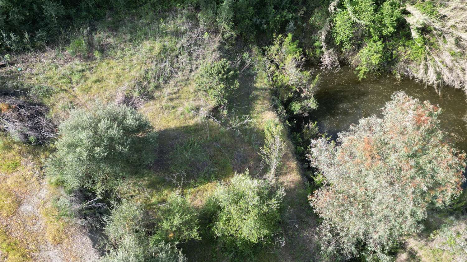 Country Property v prodeji in Coín
