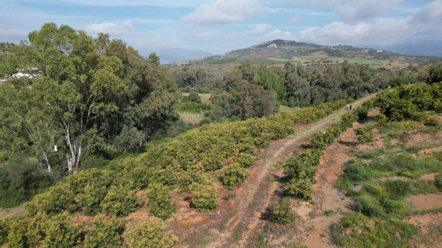 Country Property v prodeji in Coín