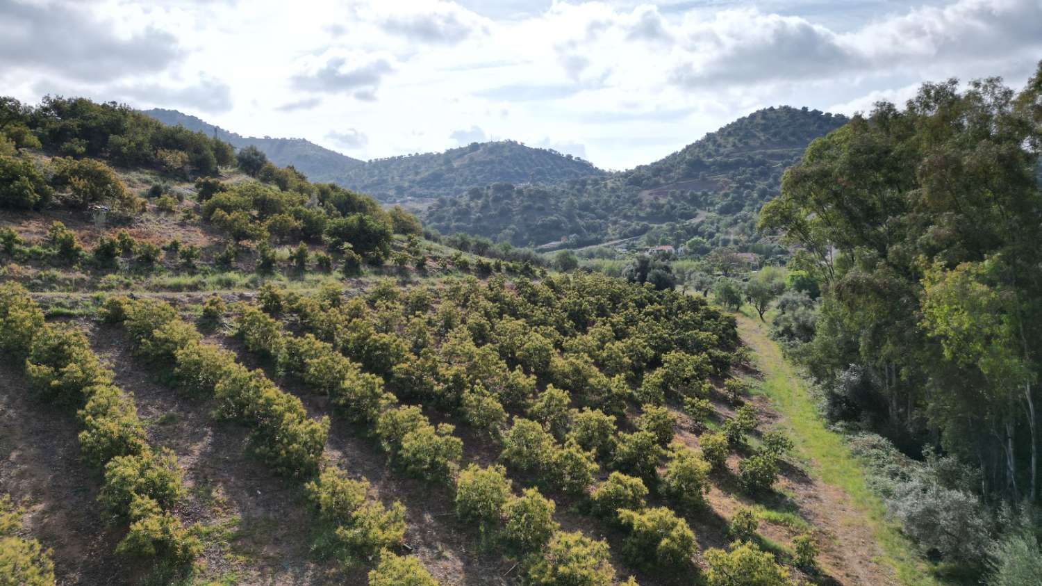 Country Property v prodeji in Coín