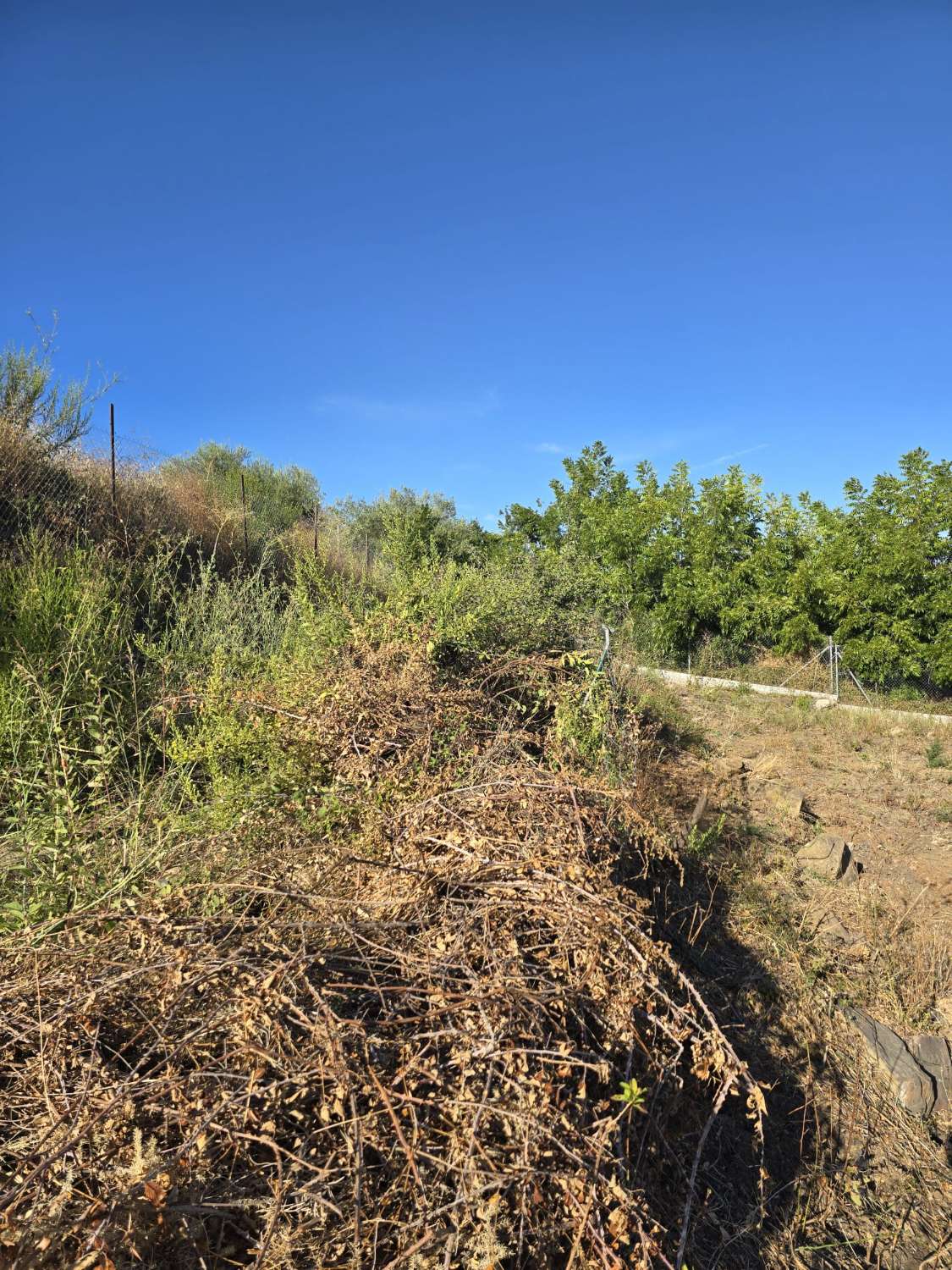 Parcela rustica con una casa registrada para reformar