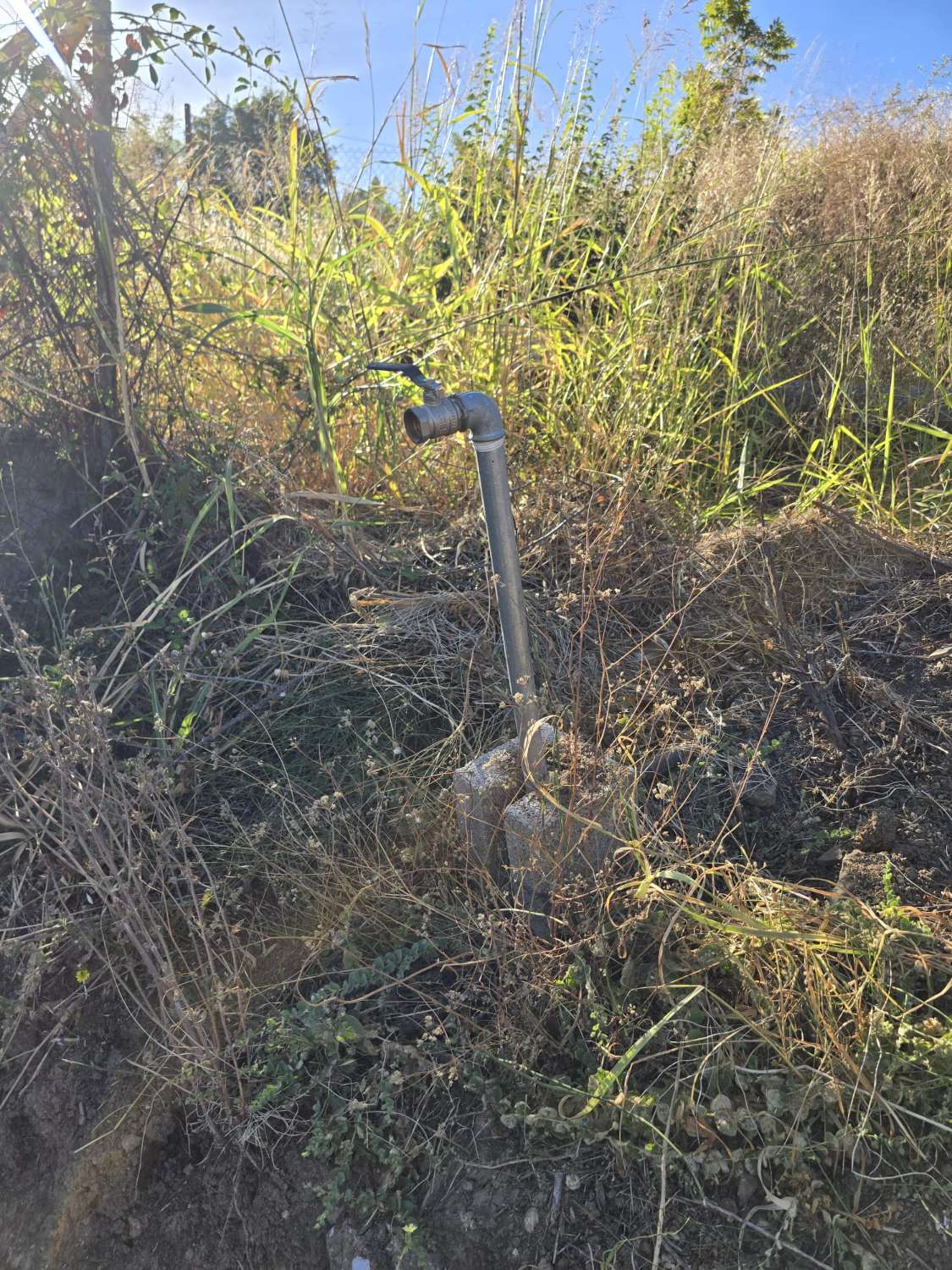 Parcela rustica con una casa registrada para reformar