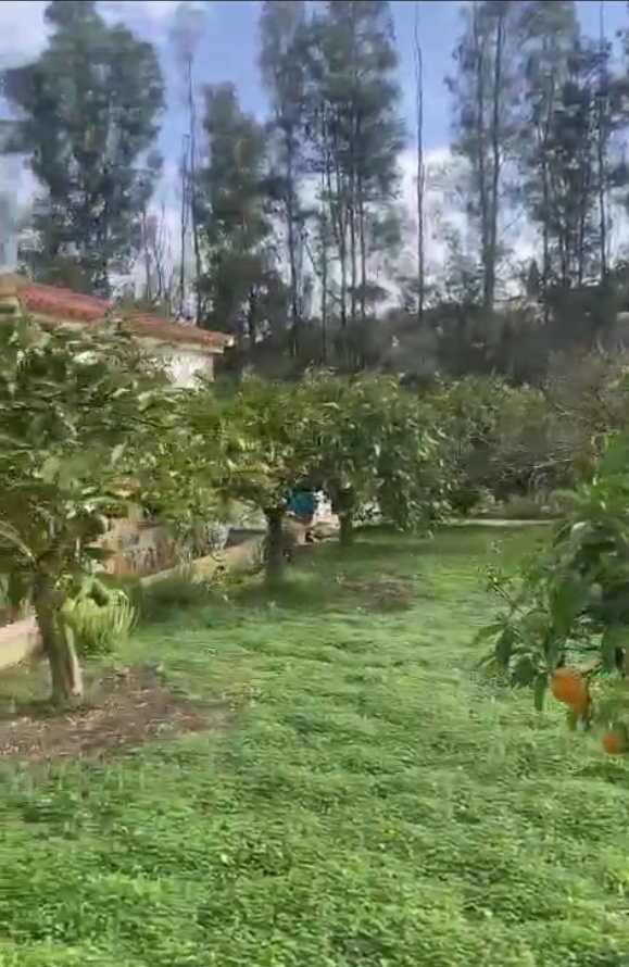 Rodinný dům v prodeji in Alhaurín el Grande