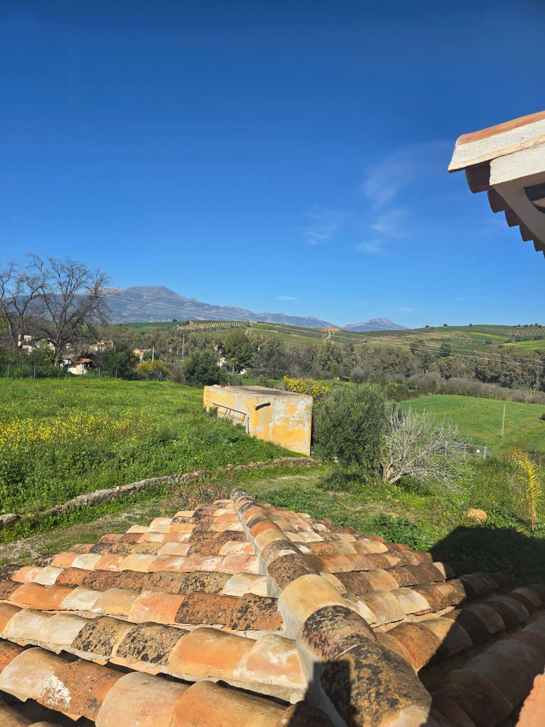 Super oportunidad .Magnifica finca con cortijo para restaurar  y una casa totalmente restaurada en un paraje impresionante