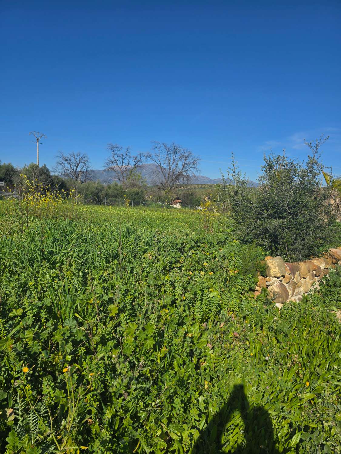 Super oportunidad .Magnifica finca con cortijo para restaurar  y una casa totalmente restaurada en un paraje impresionante