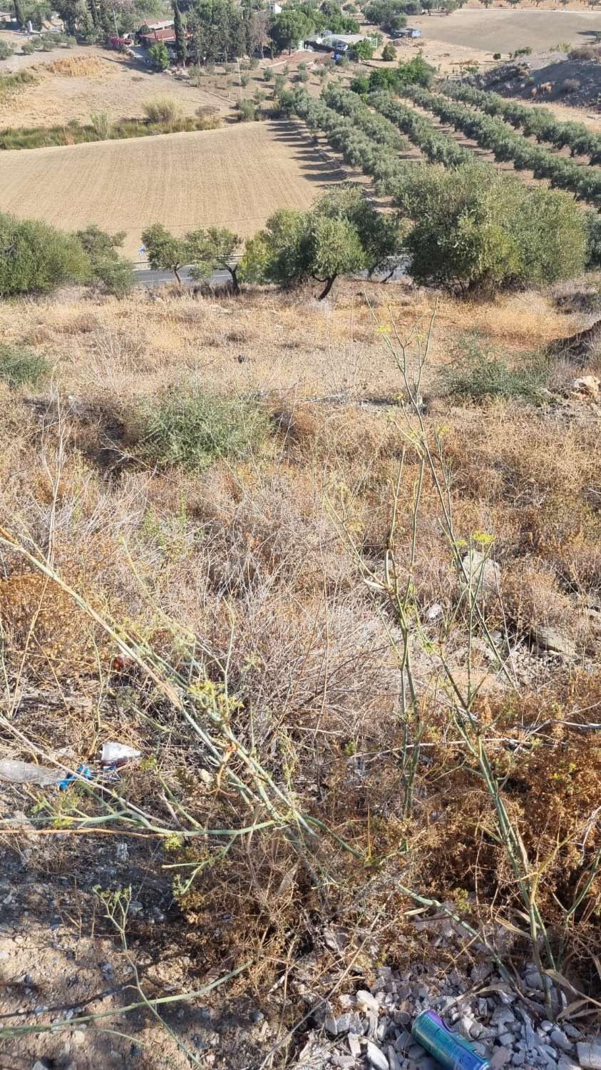 parcela en sierra chica Coín