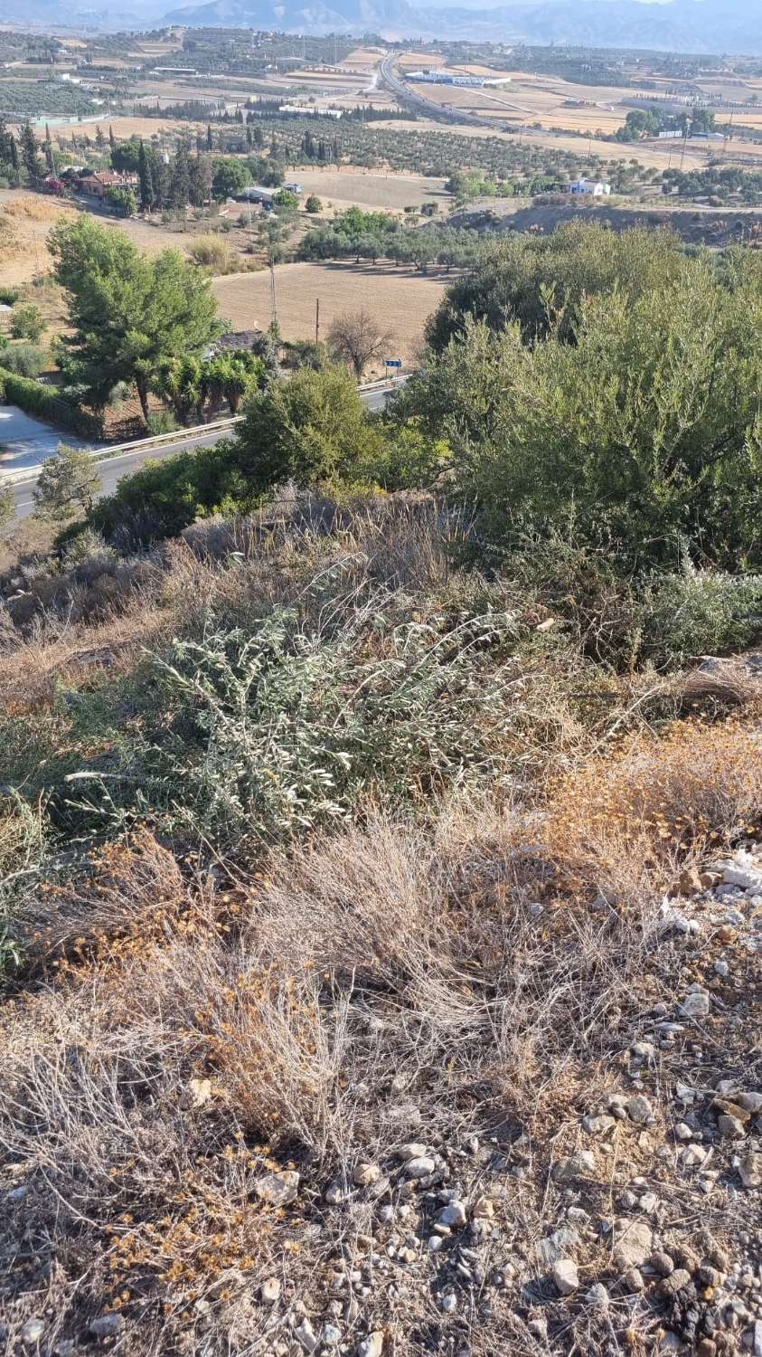 parcela en sierra chica Coín