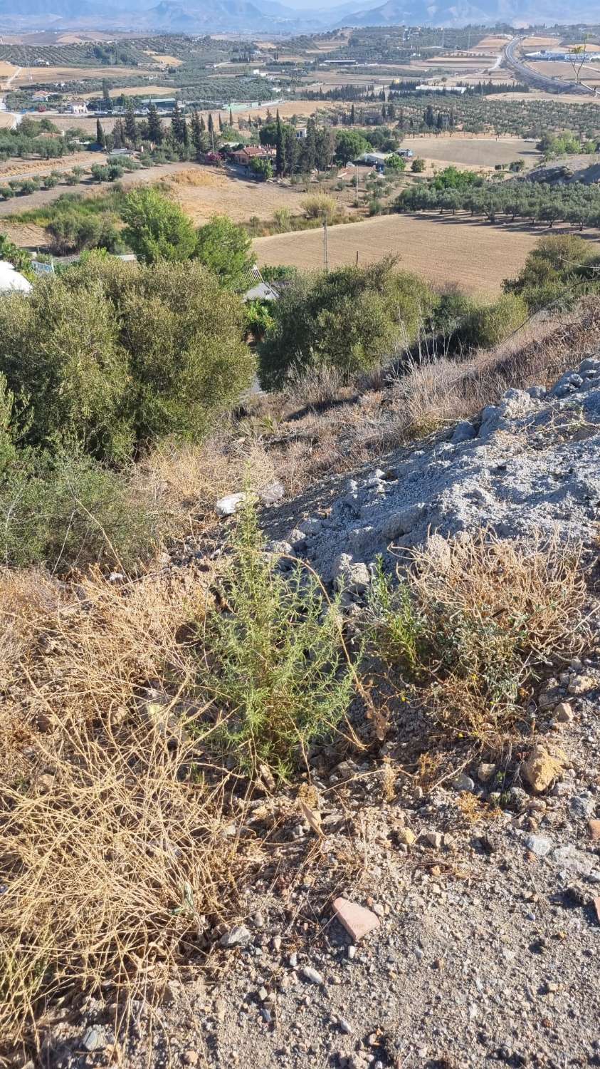 parcela en sierra chica Coín